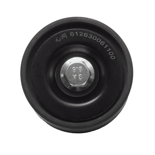 Ролик обводной 1100 WP13 EURO 5 SHACMAN X3000 XINHE