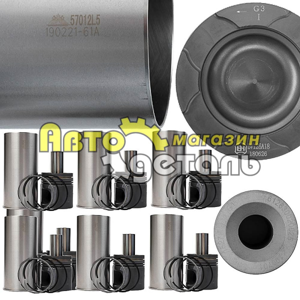 Поршневая группа WP12D12 ATG 336 л.с.SHAANXI 612630020024