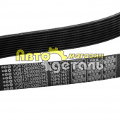 Ремень 10 РК 1451 61230060342