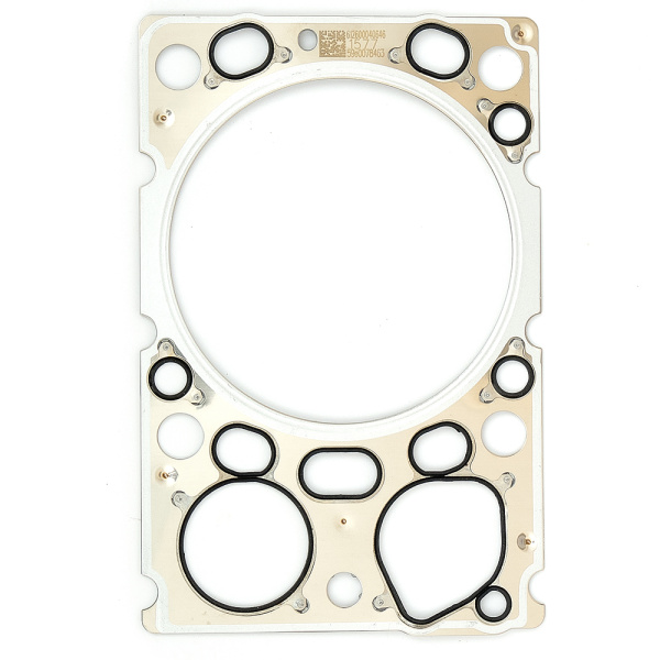 Прокладка ГБЦ WP10 EURO 4 612600040646