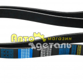 Ремень 8 РК 1816 Cummins