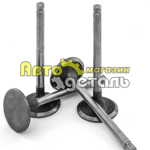 Клапан головки впускной YC6108G YC6B125-T21 330-1007011D D30-1003111b (3)