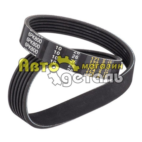 Ремень 6 РК 800 QINYAN 20004575