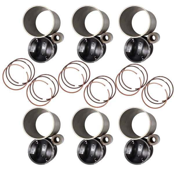 Поршневая группа WP13.550E501 к-т SHACMAN X3000 (2)