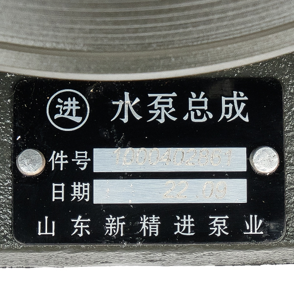 Помпа 861 WP10 EURO 5 1000402861