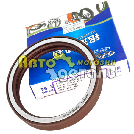 95.25.*114..4*20 сальник КПП FAST 95.25.*114..4*20 