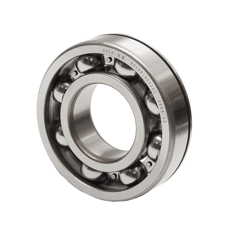 6313N подшипник хвостовика AC16 MAN