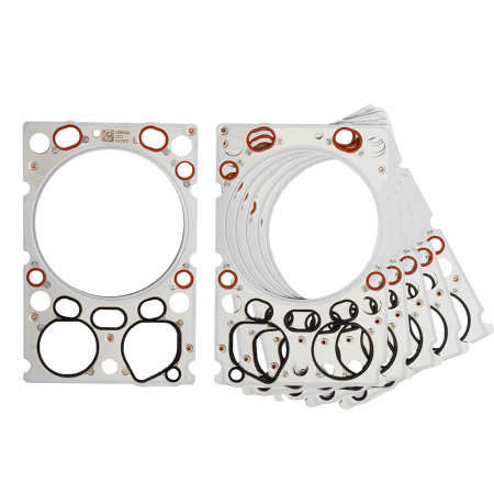 Прокладка ГБЦ к-т WP10 EURO 4